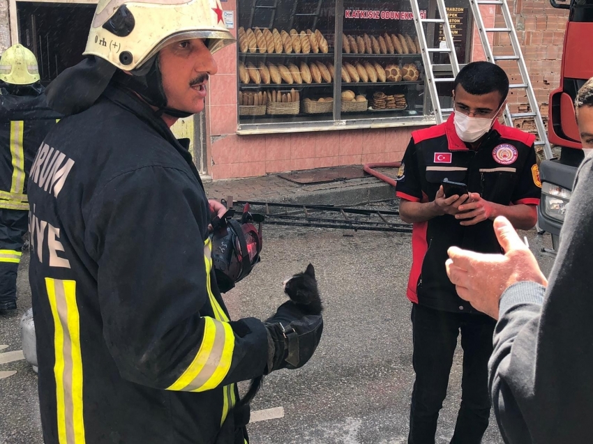 Yangında mahsur kalan kedileri itfaiye kurtardı