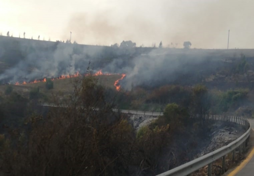 Kocaeli’nin 11 bölgesinde orman yangınları çıktı