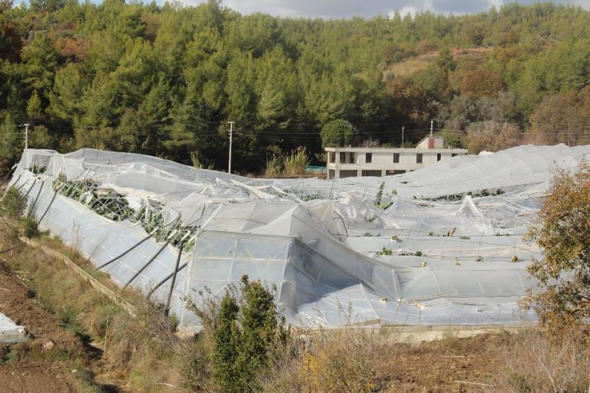  Gördükleri manzara şoke etti