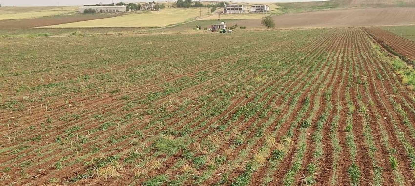  Yıldırım çarpması sonucu bir çocuk öldü