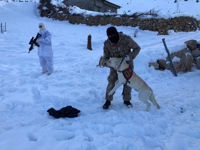 Şırnak’ta kayıp çifti arama çalışmaları sürüyor