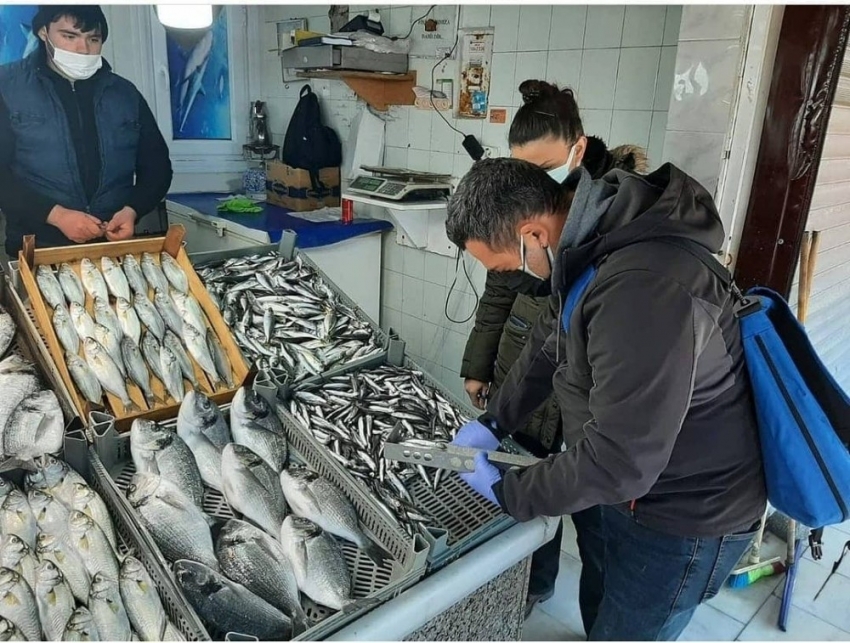 Balıklar boy boy denetleniyor