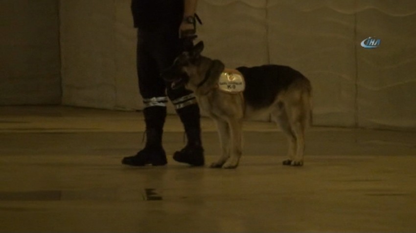 Taksim Metrosu’nda köpekli güvenlik önlemi