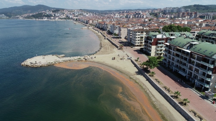 Mudanya'da halkı korkutan görüntü