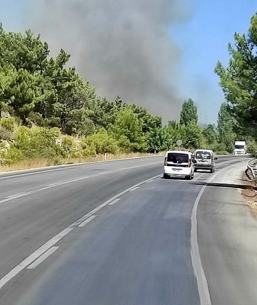 Lastiği patlayan kamyon orman yaktı