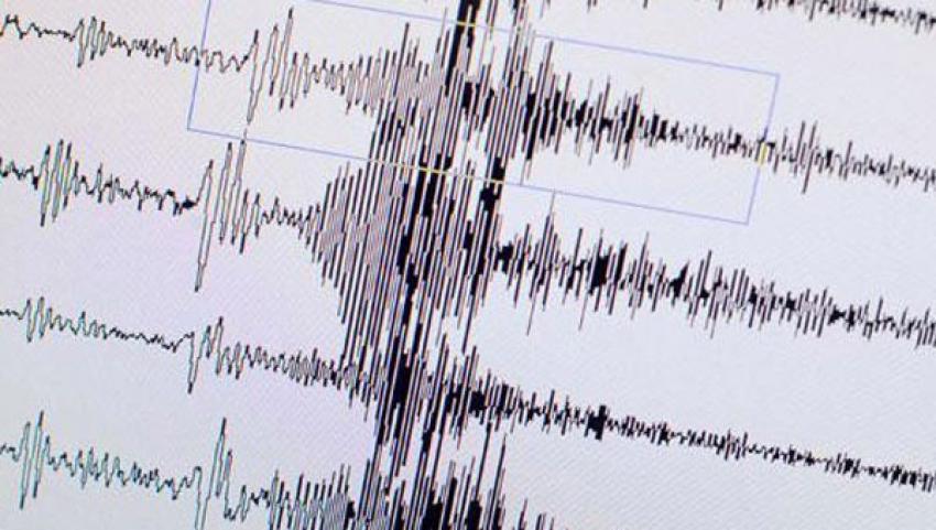 Solomon Adaları'nda şiddetli deprem