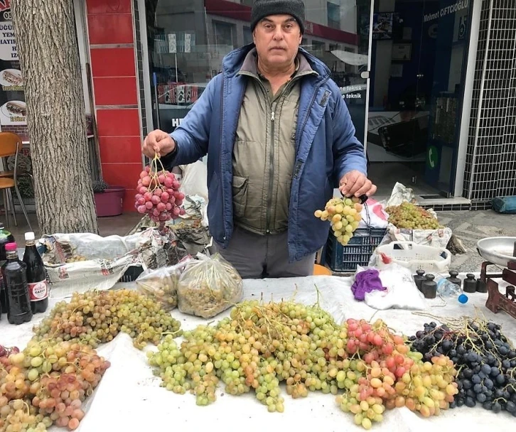 1000 rakımda yetişen üzüm, lezzetiyle damakları şenlendiriyor