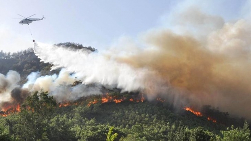 11 gündür devam eden Muğla Milas yangını kontrol altına alındı