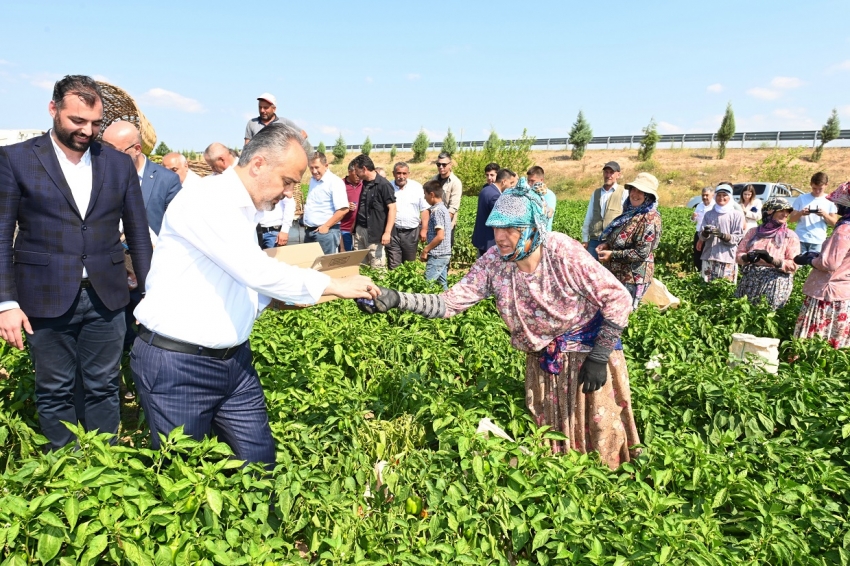 Bursa'da kırsal kalkınma