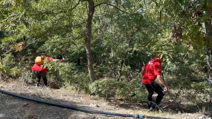 12 yıl önce öldürüldüğü ortaya çıkan kadının cesedini bulmak için çalışma başlatıldı