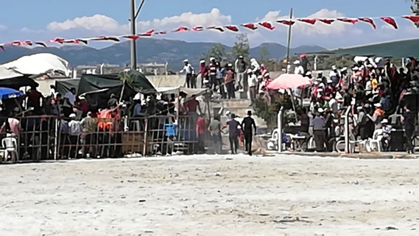 Rakibinden korkan boğa, tek vuruşta çiti yıkarak seyircilerin arasına daldı