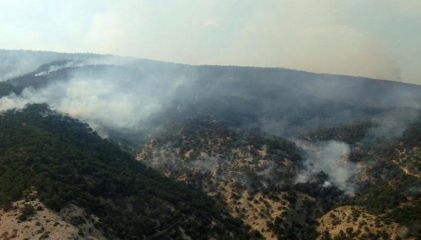 Ankara’da orman yangını