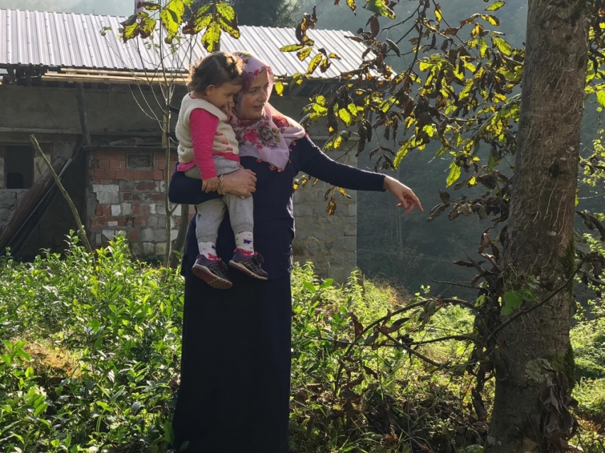 Ayılar kış uykusu öncesinde ortalığı talan etti