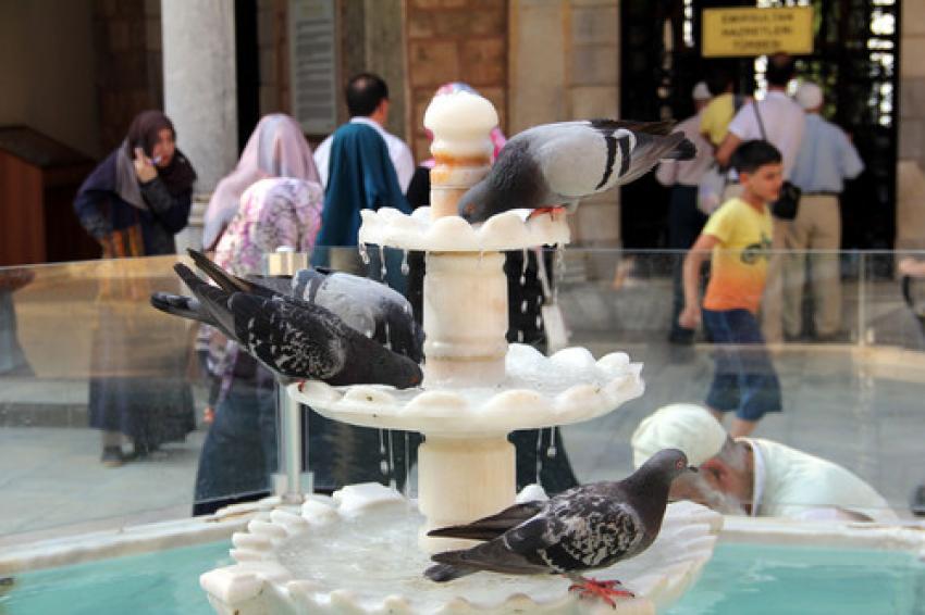 Yoğun gündemde gülümseten haber