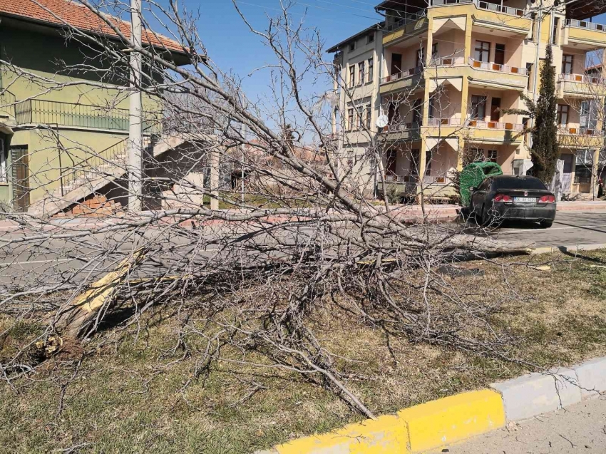 Otomobil refüjdeki ağacı söküp karşı şeritteki çöp konteynerine çarptı