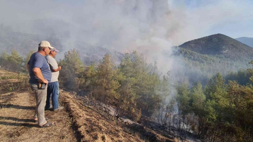 Yangına müdahale sürüyor