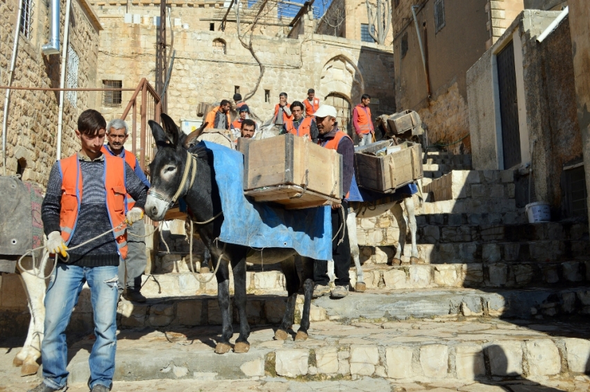 Kadrolu 3 eşek törenle emekli edildi