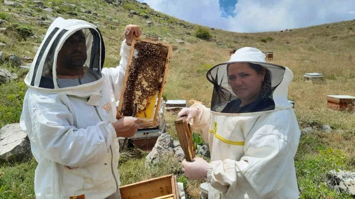 2 bin 500 rakımlı yaylalarda aile boyu arı mesaisi
