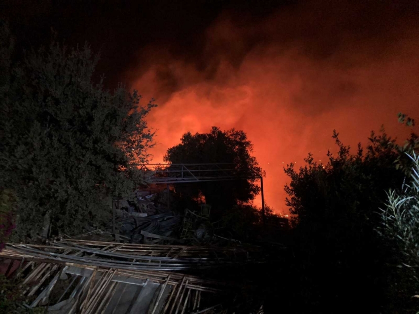 Bodrum’da makilik alanda yangın çıktı