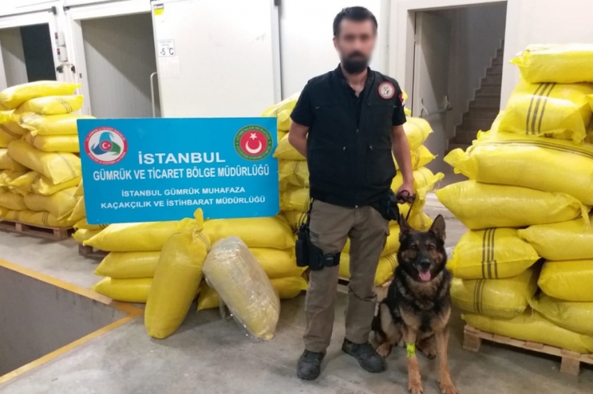 Sarımsak tozu arasında 60 kilo eroin yakalandı