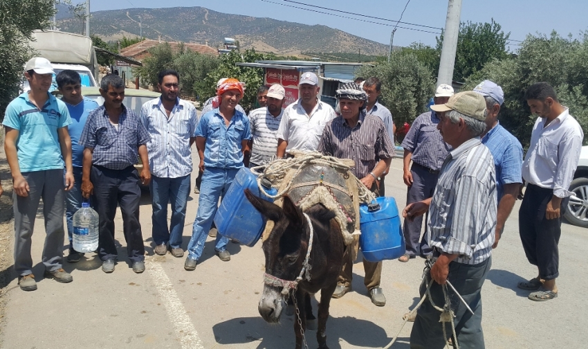 İzmir’de mahalleli eşek sırtında su taşıyor