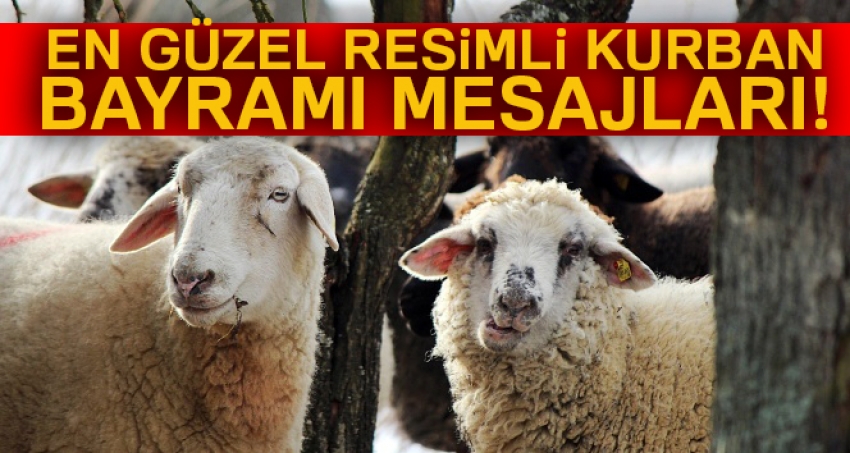 Kurban Bayramı MESAJLARI 2018: En güzel, RESİMLİ Kurban Bayramı mesajları 21 Ağustos