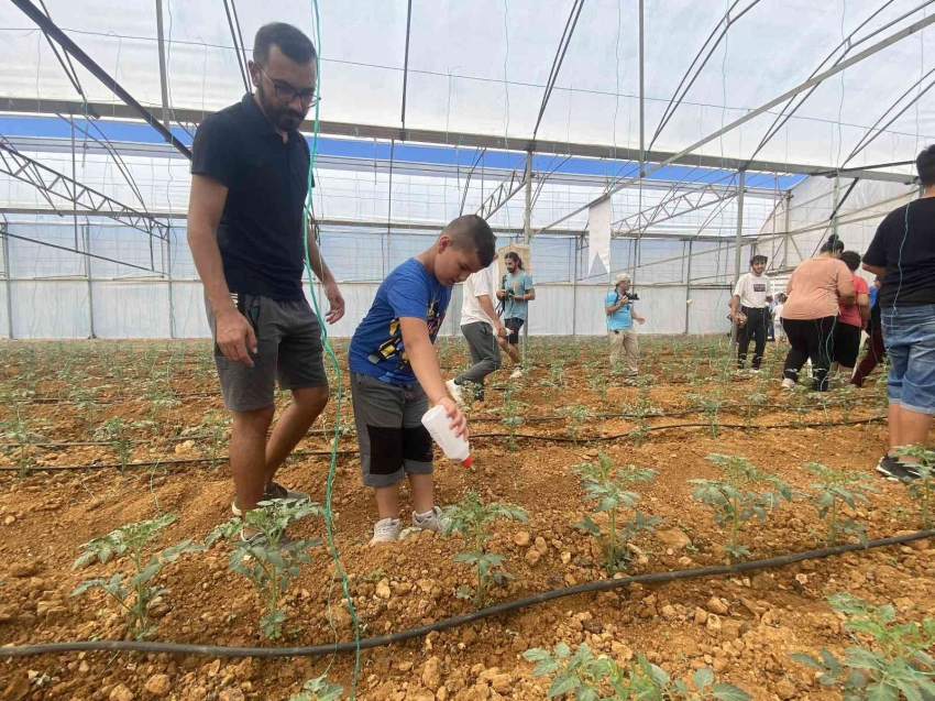 Otizmli gençler domates serasına faydalı böcek bıraktı