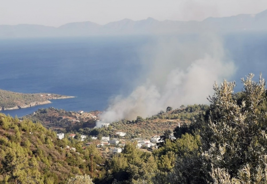 Bodrum’da orman yangını