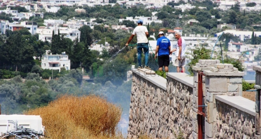 Bodrum'da lüks sitelerin bulunduğu arazide tüp patladı