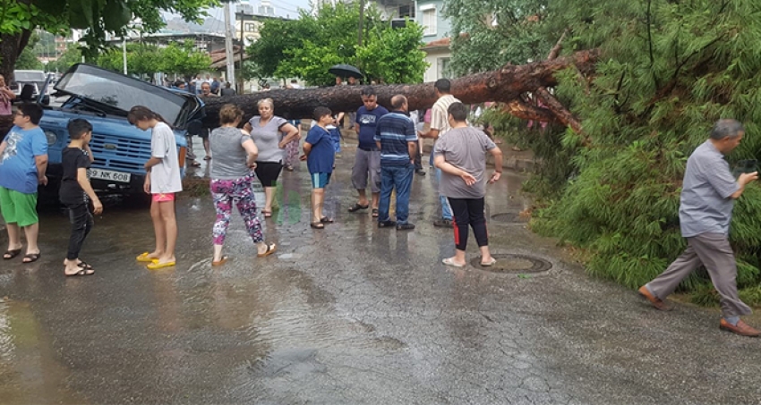 Venedik değil, Nazilli