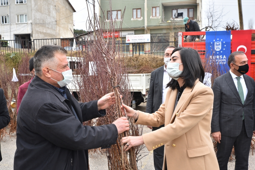 Toprak Bursa Büyükşehir’le bereketleniyor