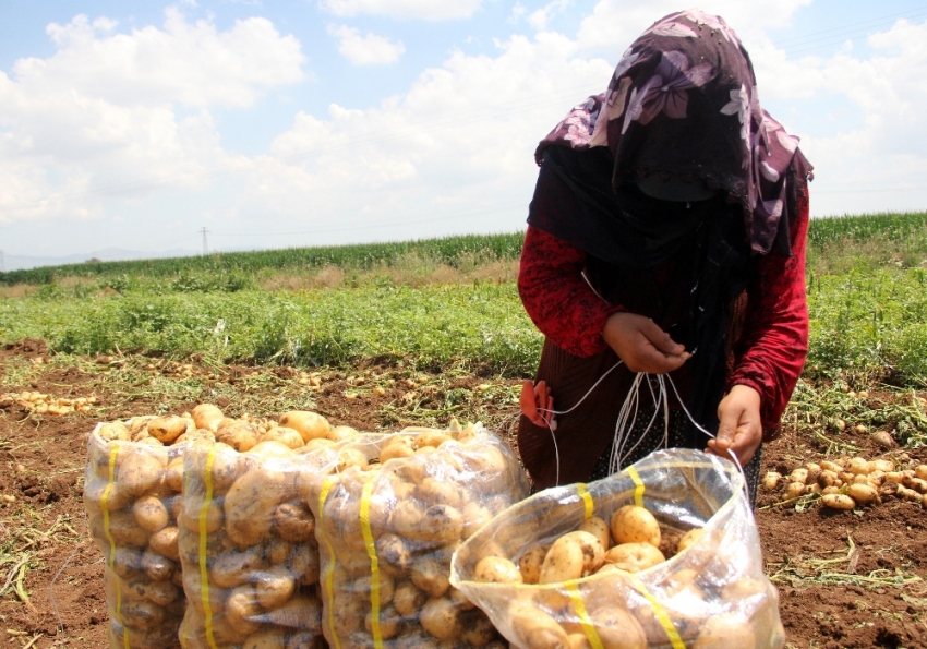 Ramazan’da kadınların ekmek mücadelesi