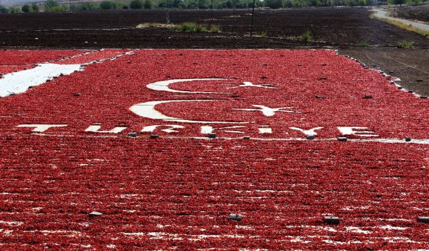 Türkiye ve bayrak sevgisini tarlasına işledi