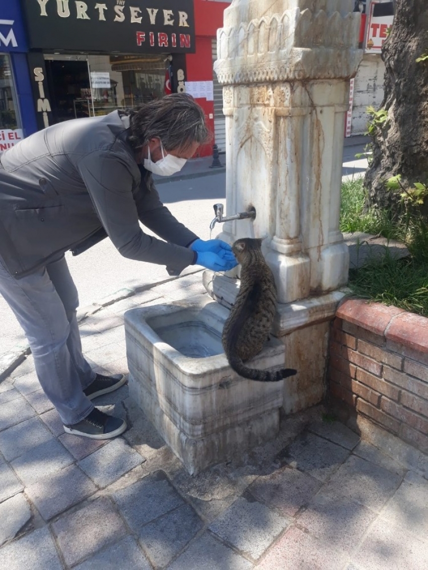 Bursa'da polisin hayvan sevgisi