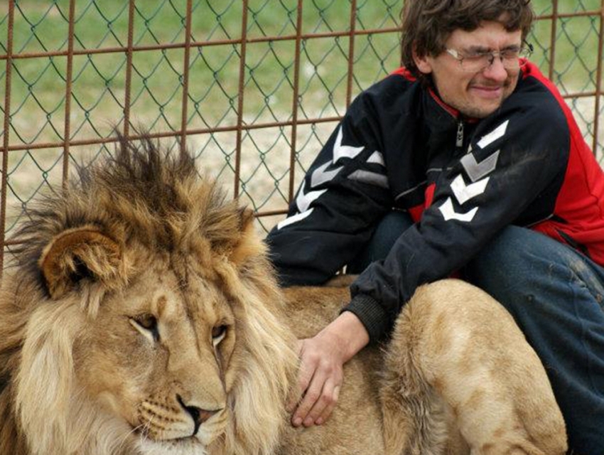 Aslan kendisini besleyen sahibini öldürdü