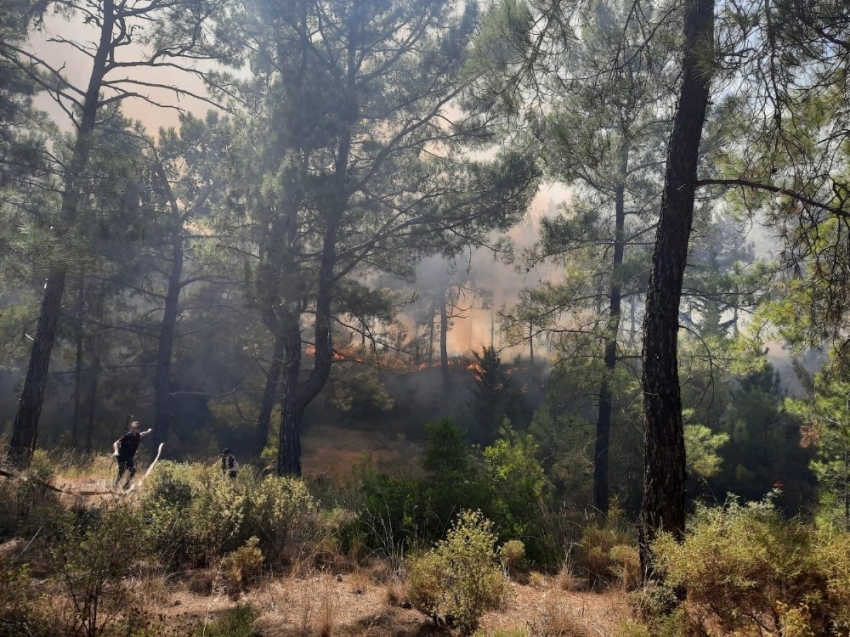 Manavgat’ta aynı saatlerde dört ayrı noktada orman yangını