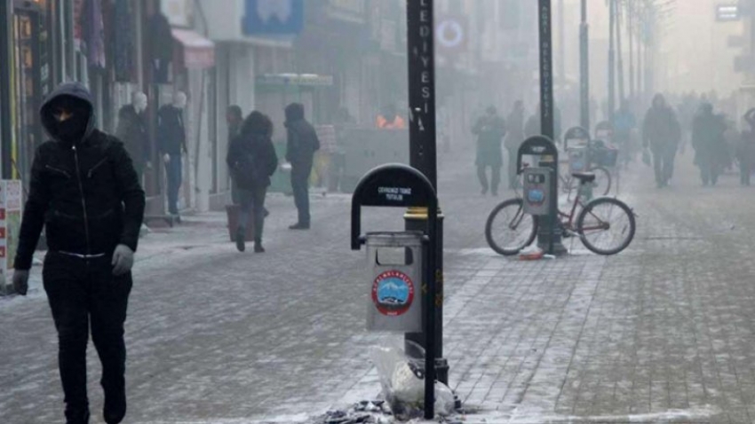 Evsizler ve sokak hayvanları için genelge