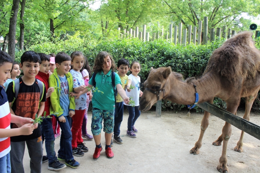 Hayvanat bahçesinin bebek üyeleri ilgi odağı oldu