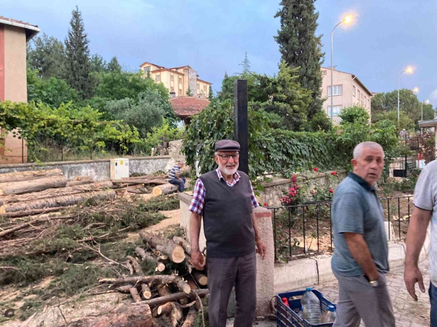 40 yıllık çam ağaçlarının kesilmesine mahalleliler tepkili