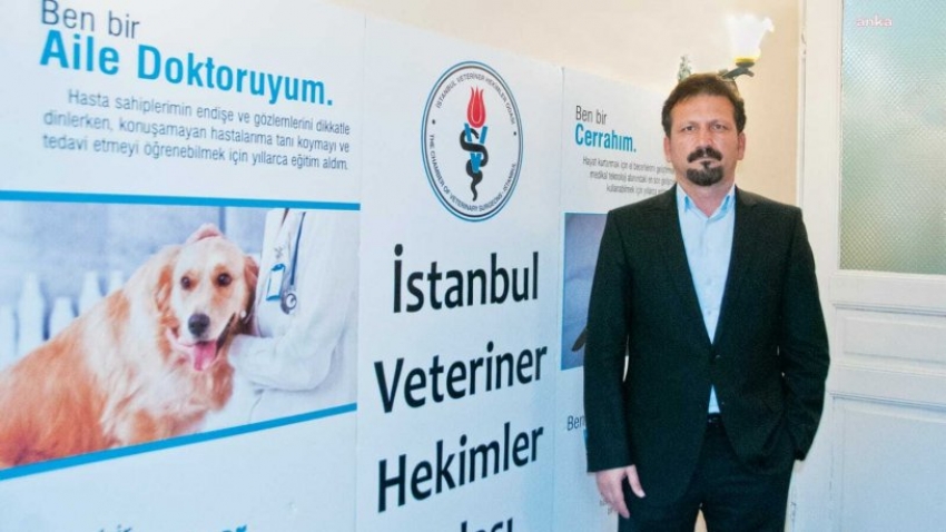 Denetimsiz kesimlerde 'tüberküloz' uyarısı: Sağlık riskleri doğuruyor