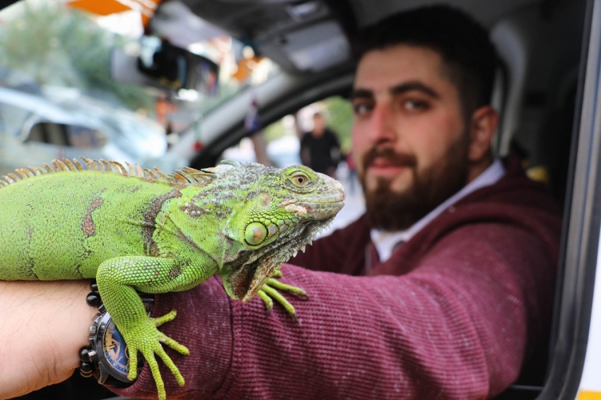 İguanasıyla birlikte müşteri bekliyor