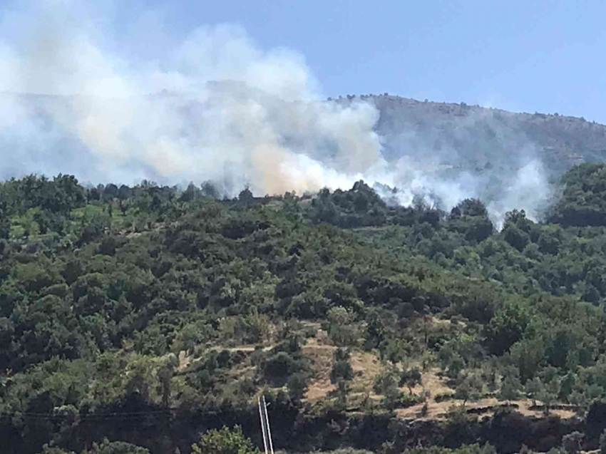 İki ilçede çıkan yangınlar kontrol altında