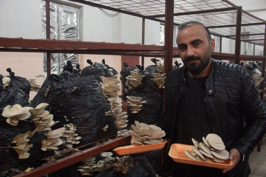 Hakkari'de ilk kez üretildi