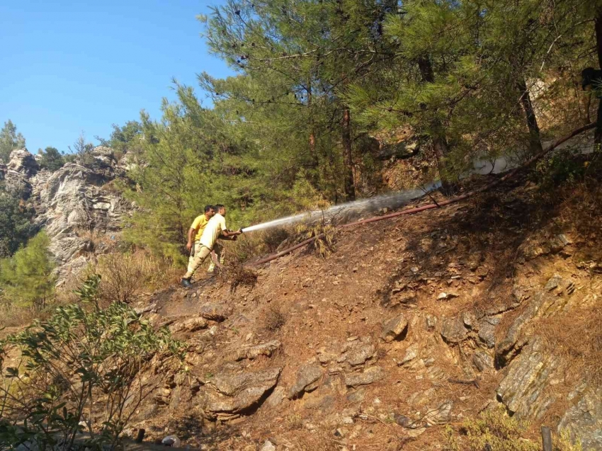 Ormanlık alanda çıkan yangın söndürüldü