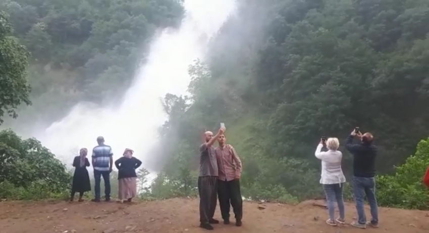 Yoldan geçerken görenler araçlarından inip fotoğrafını çekti