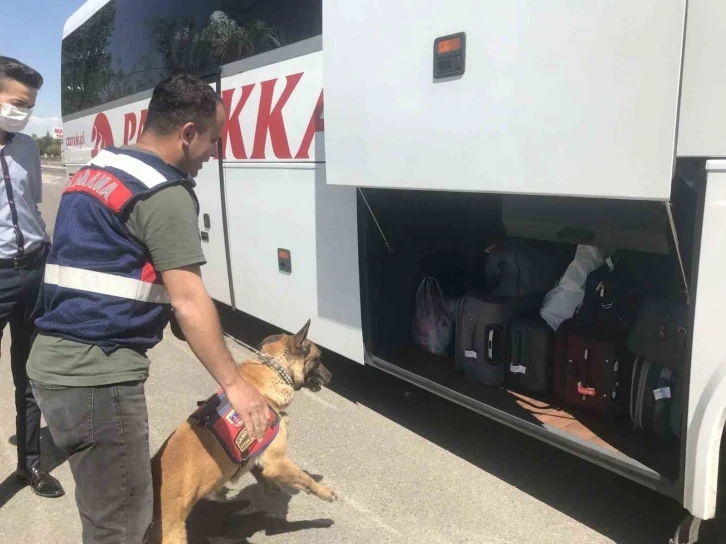 42 düzensiz göçmene 488 bin TL ceza yazıldı