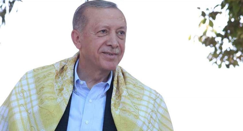 Erdoğan üzüm hasadı yaptı