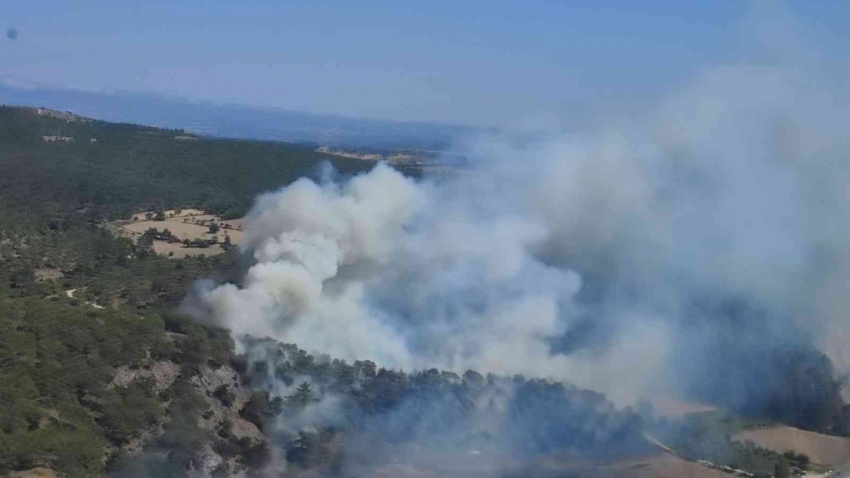 Çanakkale’de orman yangını