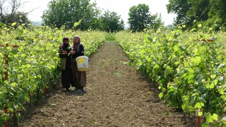 450 liradan satılmasına rağmen taleplere yetişemiyorlar
