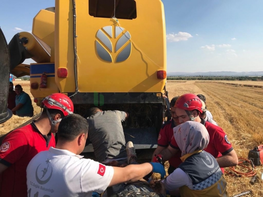 Biçerdövere düşen işçi canından oluyordu